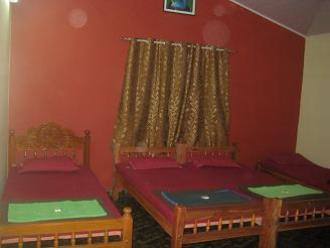 Green Wood Nature Camp, Ooty 2